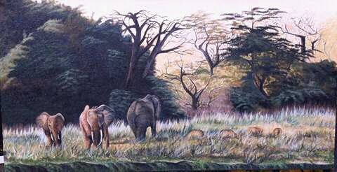 Elephants in the Wild