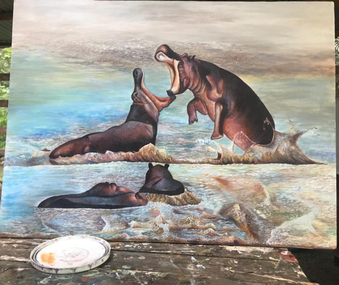 Chronicles of a Duel: Hippos Fighting on the River